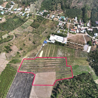 Khu Đất 10.000M2, Bán Lẻ 650 Triệuiệu/1000M2, Trung Tâm Định Quán, Đồng Nai. Xung Quanh Dân Cư Đông Đúc