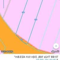 PHƯỚC HỘI-ĐẤT ĐỎ-BRVT NGAY ĐƯỜNG VEN BIỂN VŨNG TÀU BÌNH CHÂU