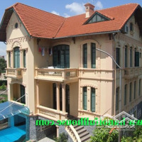 Biệt Thự Có Sân Vườn, Bể Bơi, Thiết Kế Hiện Đại Ở Quận Hai Bà Trưng Cho Thuê Ở, Mầm Non, Công Ty Vv