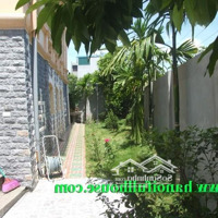 Biệt Thự Có Sân Vườn, Bể Bơi, Thiết Kế Hiện Đại Ở Quận Hai Bà Trưng Cho Thuê Ở, Mầm Non, Công Ty Vv