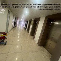 Bán Căn Hộ 2 Phòng Ngủ 70M2, 1,8 Tỷ Tại Tht New City, Kim Chung, Hoài Đức Mặt Đường 32 Có Lì Xì Đầu Năm