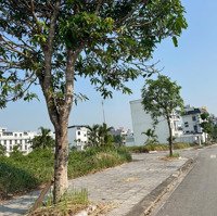 Bán Lô Song Lập Hoa Hậu Ngay Chân Chung Cư Đang Bàn Giao