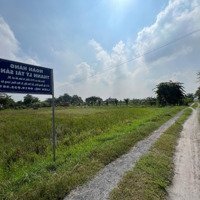 Ngân Hàng Thanh Lý 2 Lô Đất Full Thổ Ở Ấp Rừng Dầu, Tân Mỹ, Đức Hòa, Giá Từ 82 Triệu/M Ngang