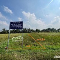 Ngân Hàng Thanh Lý 2 Lô Đất Full Thổ Ở Ấp Rừng Dầu, Tân Mỹ, Đức Hòa, Giá Từ 82 Triệu/M Ngang
