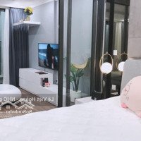 Cho Thuê Gấp Căn Hộ 1 Phòng Ngủvào Ở Được Luôn Trước Tết Tại Sunshine Garden Giá Chỉ 10 Triệu5/Th 0812395555