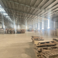Cho Thuê Xưởng Kcn Nhơn Hoà 19.000M2, Có Pccc Đầy Đủ