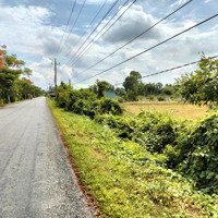 Bán 3.160M2 Đất Mặt Tiền Rộng 56M Đường Đt 816 Thuộc Xã Bình Hoà Nam - Liên Hệ 0977.570.006