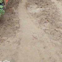 Chính Chủ Bán Đất Nền Cần Giờ Giá Chỉ 1,8 Tỷ