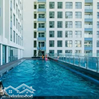 Bán Căn Hộ Cc Tại Phú Tài Residence, 1,74 Tỷ, 72M2, 2 Phòng Ngủ 2 Vệ Sinh Hướng Đông Nam, Hot!