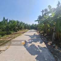 Bán Đất 2 Mặt Tiền Trần Nhân Tông - View Sông Và Rặng Dừa - Cẩm Thanh, Hội An
