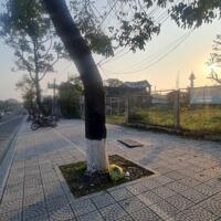 Cho Thuê Hơn 1000m2 Đất Mặt Tiền đường Nguyễn Tất Thành