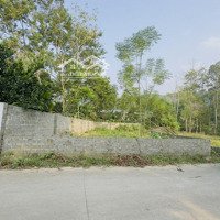 Do Không Có Nhu Cầu Sử Dụng Lên E Cần Chuyển Nhượng Lại Lô Đất Siêu Đẹp Tại Nhuận Trạch