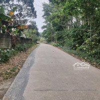 Do Không Có Nhu Cầu Sử Dụng Lên E Cần Chuyển Nhượng Lại Lô Đất Siêu Đẹp Tại Nhuận Trạch