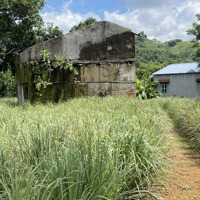 Chính Chủ Cần Bán Lô Đất 4679M2 Ở Thành Phố Hoà Bình Giá 1,X Tr/M2