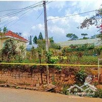 Đất Biệt Thự Mặt Tiền Đường Đa Phú - P7 - Tp Đà Lạt