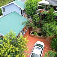 Biệt Thự Nghỉ Dưỡng View Rừng Thông Đẹp Đường Măng Lin - P7 - Tp Đà Lạt. Giá: 11.5 Tỷ