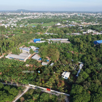 Hái Lộc Đầu Năm Cơ Hội Sở Hữu Đất Vườn 1000M- Gần Thị Trấn Dầu Giây