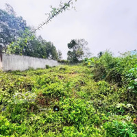 Đất Vườn 1000M Giá Chỉ 790 Triệu Gần Dầu Giây Cây Ăn Trái Hệ Thống Điện Nước