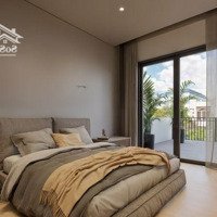 7 Tầng Thang Máy, Mới Coong, 65M, Trần Thái Tông, Cầu Giấy, Chỉ 22.5 Tỷ