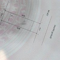 Bán Nhà L/K Kđt Viglacera Xuân Phương 75M*5T*4,5Mt, P/L Vỉa Hè , Sân Trước Sau , Nt Đẹp, Ở Ngay
