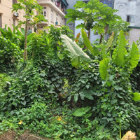 Bán Đất Hồ Ba Mẫu, Ô Đồng Lầm, Đống Đa, 587M2 Chỉ 113,17 Tỷ