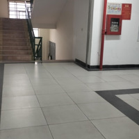 Bán Nhà Mặt Phố Hoàng Quốc Việt, 42 Tỷ, 88M2, View Đẹp, Chính Chủ, Cầu Giấy, Hà Nội