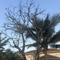 Nhà 3 Tầng Trương Chí Cương,Diện Tích60M2 Chỉ 4.8 Tỷ Hải Châu.
