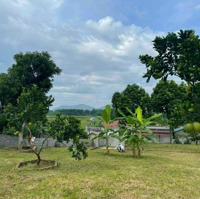 E Cần Bán Trong Tuần Lô Đất 1750M Tại Cư Yên Với Giá Siêu Rẻ