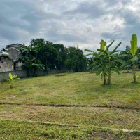 E Cần Bán Trong Tuần Lô Đất 1750M Tại Cư Yên Với Giá Siêu Rẻ