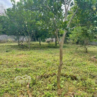 E Cần Bán Trong Tuần Lô Đất 1750M Tại Cư Yên Với Giá Siêu Rẻ