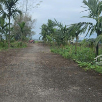 Đất Trồng Cây Hằng Năm Xã Hòa Phong, Sát Nhà Dân Ở 686M2 Xây Nhà Được