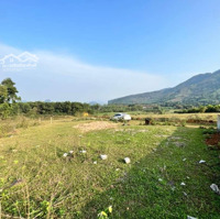 Do Ko Có Nhu Cầu Sử Dụng Lên E Cần Bán Lô Đất Nghỉ Dưỡng Siêu Đẹp Tại Cư Yên Với Giá Rẻ
