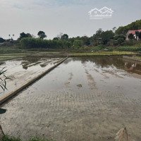 Ngân Hàng Phát Mại Tài Sản Là Nhà Và Đất Tại Thị Trấn Hương Sơn, Huyện Phú Bình, Tỉnh Thái Nguyên