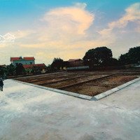 Bán Đất Ở Lâu Dài Tại An Hải, An Dương, Hải Phòng S=79M2 Giá Bán 688 Triệu Bao Sổ
