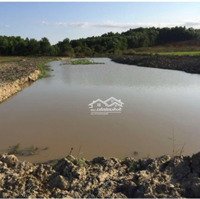 Bán Đất Thôn Xuân Nam, Diên Xuân, Diên Khánh,Diện Tích140.000 M2 (14 Hecta). Giá 70.000Đ/1M2