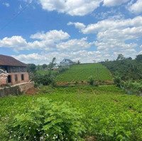 Bán Đất Gần 500M2 Sẵn Thổ Cư Mặt Tiền Trường Chinh Lộc Tân