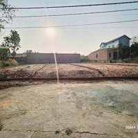 Hot Chỉ Với Hơn 500 Triệu Sở Hữu Lô Đất Full Thổ Cư Tại Thị Trấn Hợp Châu - Tam Đảo - Vĩnh Phúc