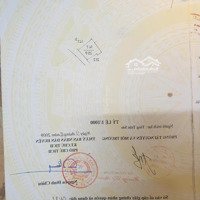 Bán Đất Tặng Nhà Cấp 4 - 259M2, Mặt Tiền 6M Ngõ Vào 2 - 3M. Giá Bán 4,4 Tỷ. Không Thương Lượng