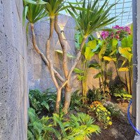 Nhà 3 Tầng Kiệt Ô Tô Thông Hoàng Diệu Trung Tâm Hải Châu, Vị Trí Tiện Ích. Tuyến Đường Trung Tâm