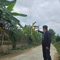 Đất Vườn Diên Khánh Có Thổ Cư Ngay Khu Dân Cư,Sát Tỉnh Lộ.