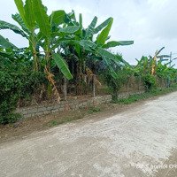 Đất Vườn Diên Khánh Có Thổ Cư Ngay Khu Dân Cư,Sát Tỉnh Lộ.