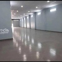 Mặt Tiền Đường Tân Kỳ Tân Quý, 8X40 M Nở Hậu 10M, Phường Tân Sơn Nhì, Tân Phú