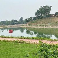 Chính Thức Nhận Booking Dự Án Thành Phố Cửa Ngõ Trung Tâm Phú Thọphú Lợi Golden Field