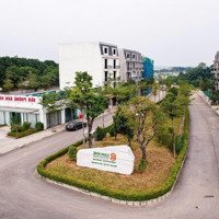 Chính Thức Nhận Booking Dự Án Thành Phố Cửa Ngõ Trung Tâm Phú Thọphú Lợi Golden Field