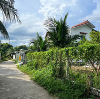 Khai Xuân Lộc Lộc Phát - Đầu Tư Đất Nền Diên Lâm Sinh Lời Vượt Trội!
Năm Mới Đến, Vận May Ngập Tràn
