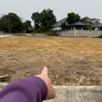 Bán Đất Nghi Thái, Nghi Lộc, Nghệ An, 1,38 Tỷ, 102 M2, Hàng Hiếm Tại Uy Tín