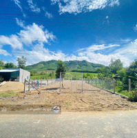 Bán Lô Đất 558M2 Full Thổ Cư Mặt Tiền Hương Lộ 62 Thích Hợp Xây Nhà Vườn Biệt Thự Chỉ 1Tỷ4