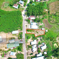 Bán Lô Đất 558M2 Full Thổ Cư Mặt Tiền Hương Lộ 62 Thích Hợp Xây Nhà Vườn Biệt Thự Chỉ 1Tỷ4