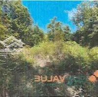 Bán Đgts Đất Tại Phường Tân Định, Thị Xã (Nay Là Thành Phố) Bến Cát, Tỉnh Bình Dương