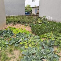 Chỉ Nhỉnh 2 Tỷ Sở Hữu Ngay Lô Góc Hơn 46M2 Đường Ô Tô Tại Kim Hồ, Lệ Chi, Gia Lâm